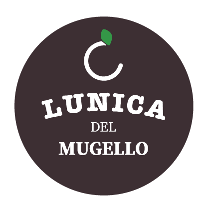 Lunica srl logo